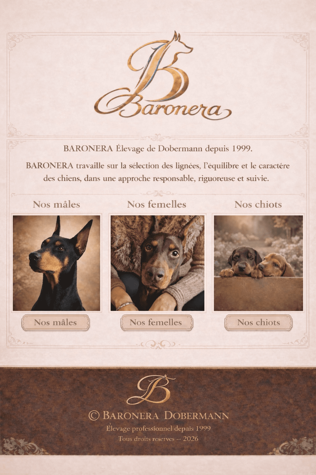 BARONERA – Élevage de Dobermann depuis 1999