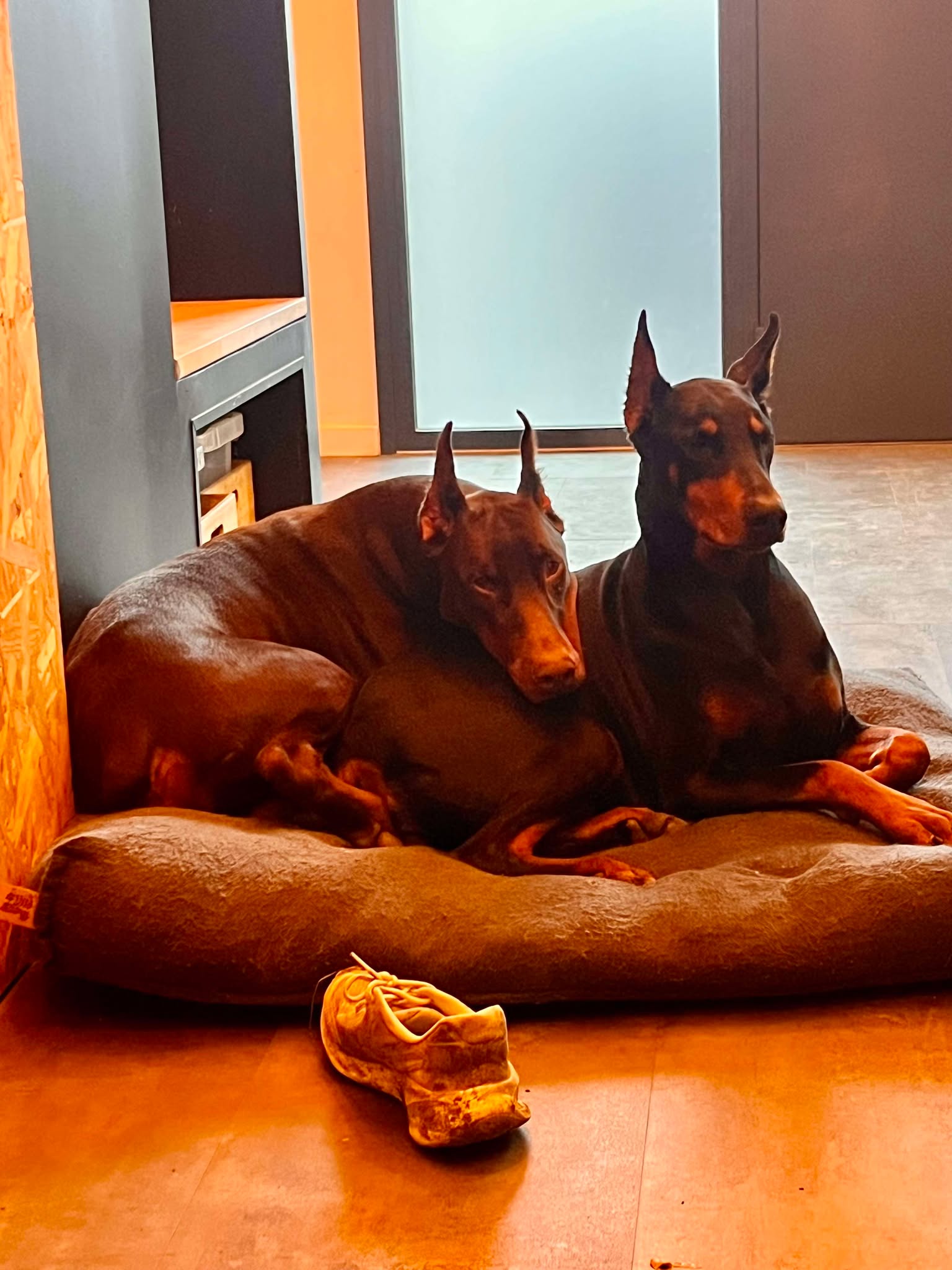 Baronera Lord & Vegas — photo commune