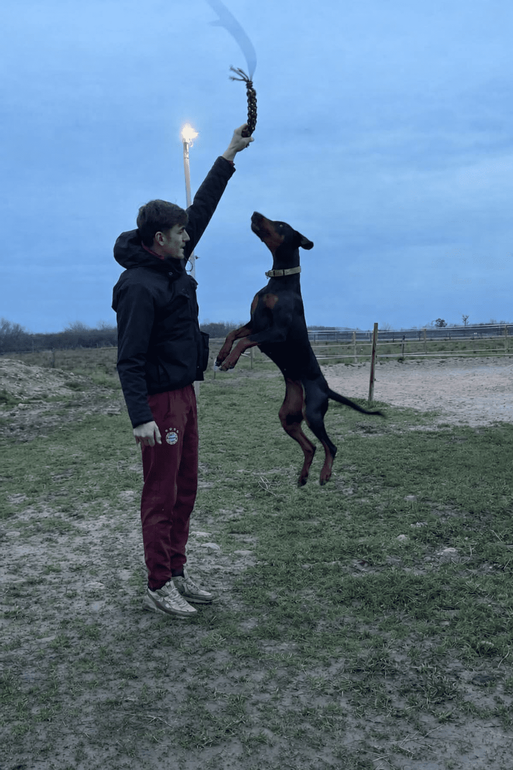 Baronera Lady Azur — photo 2