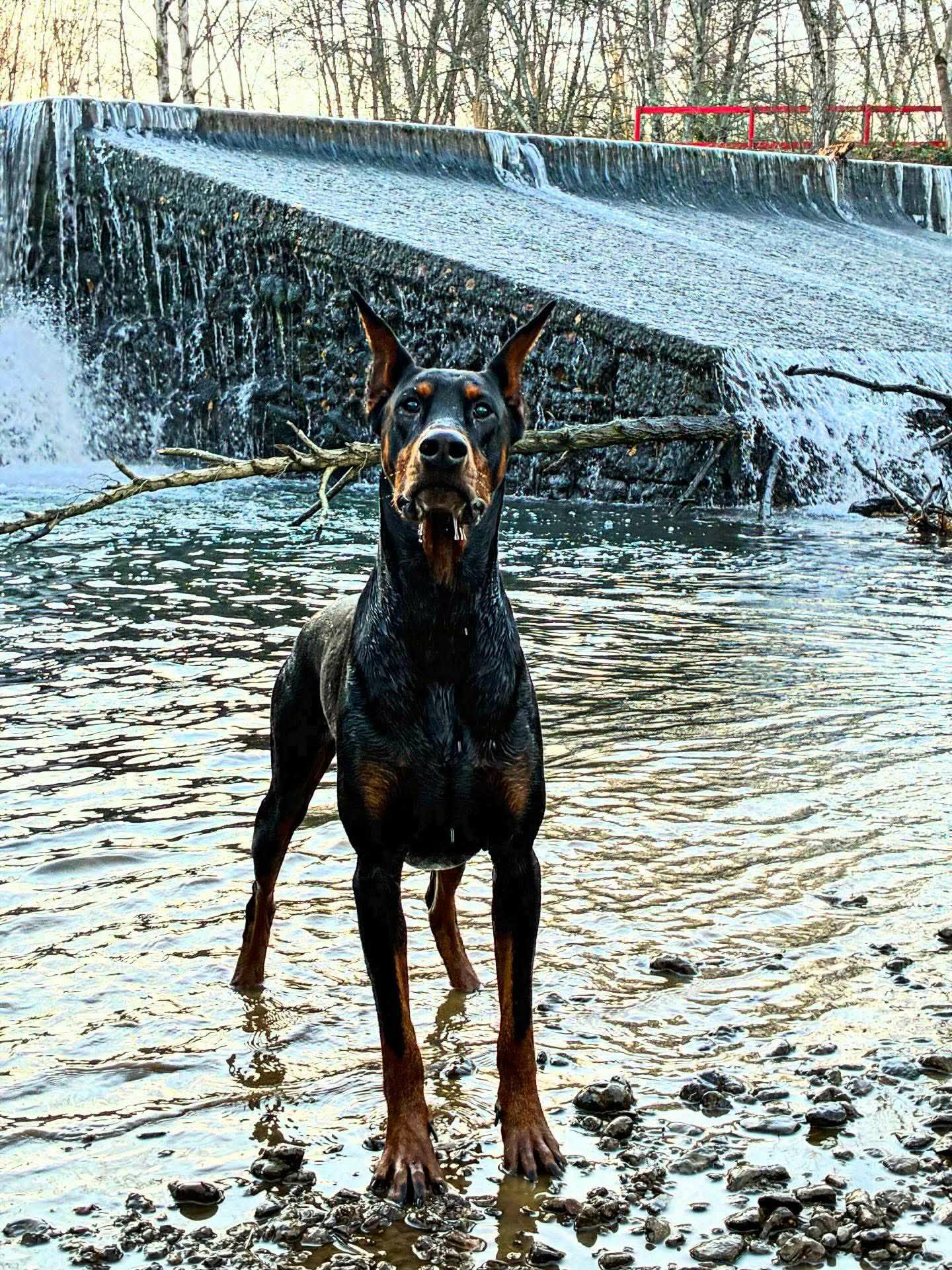 Baronera Kassadin Aka Dairokan — photo 3