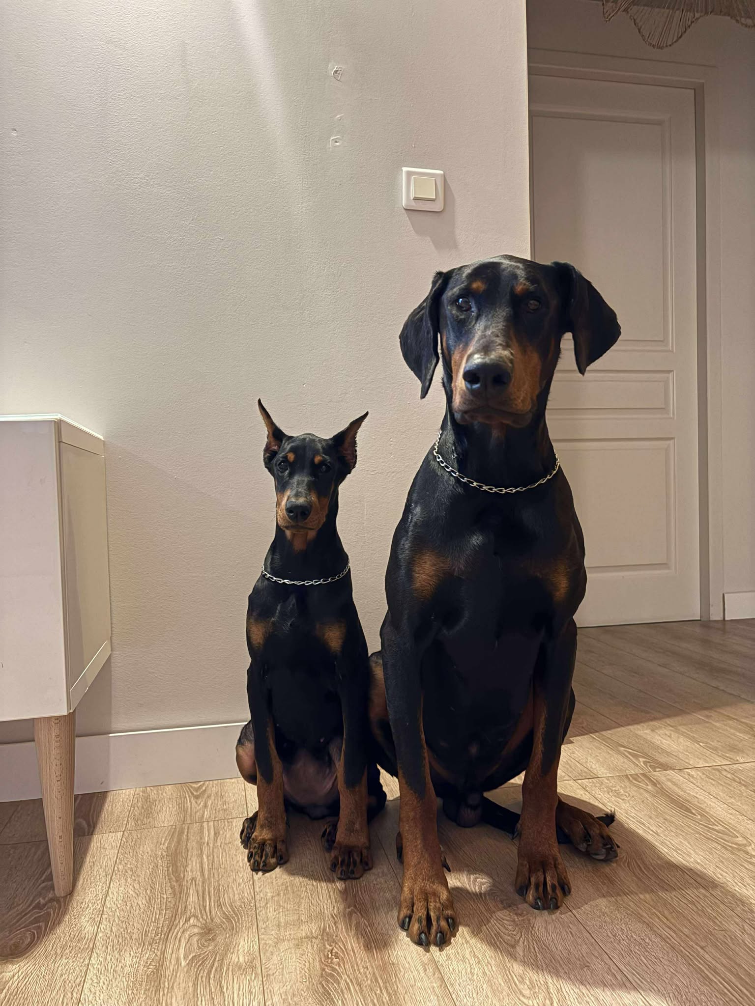 K’Santé & Yuna — photo 1