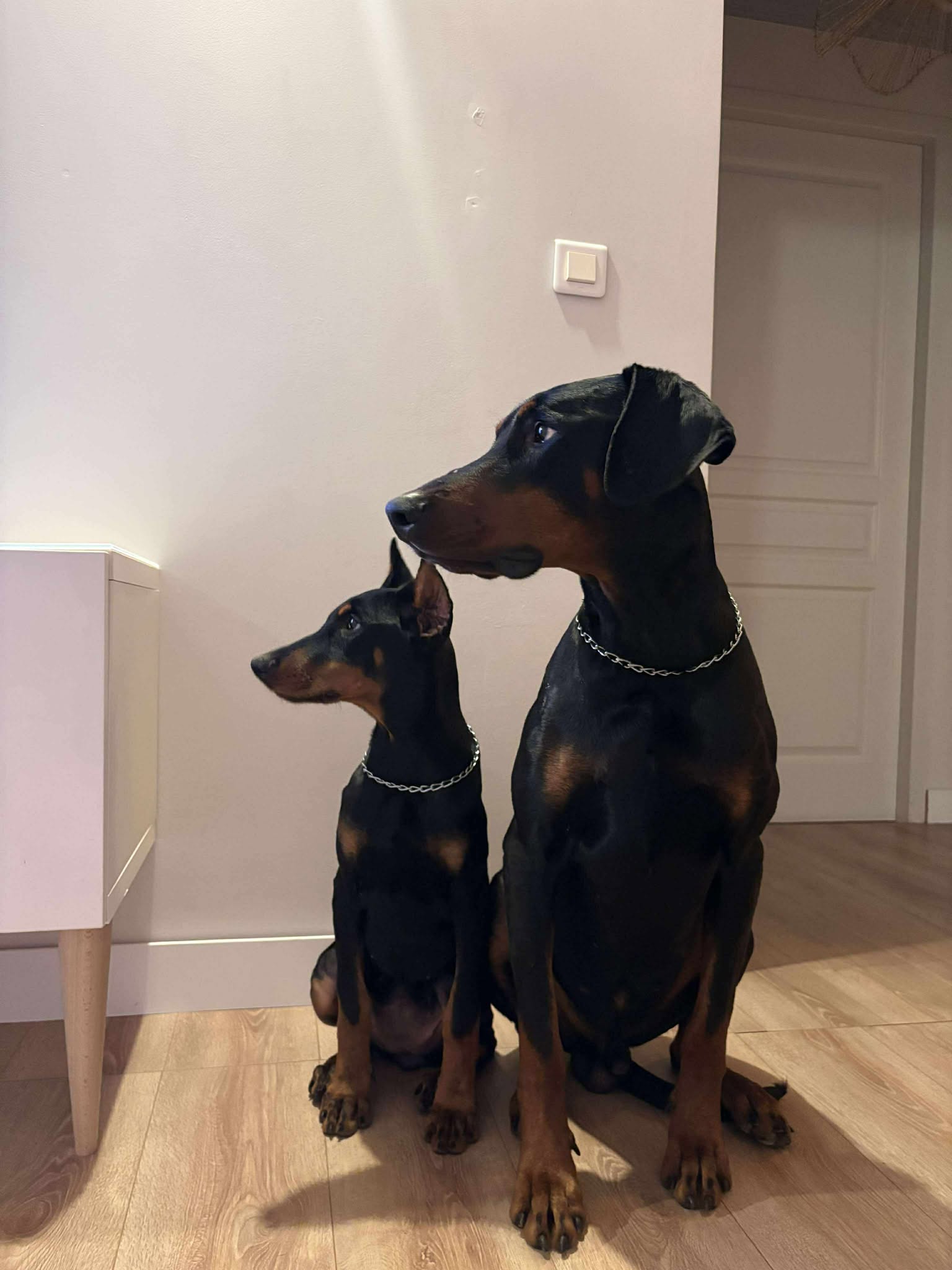 K’Santé & Yuna — photo 2