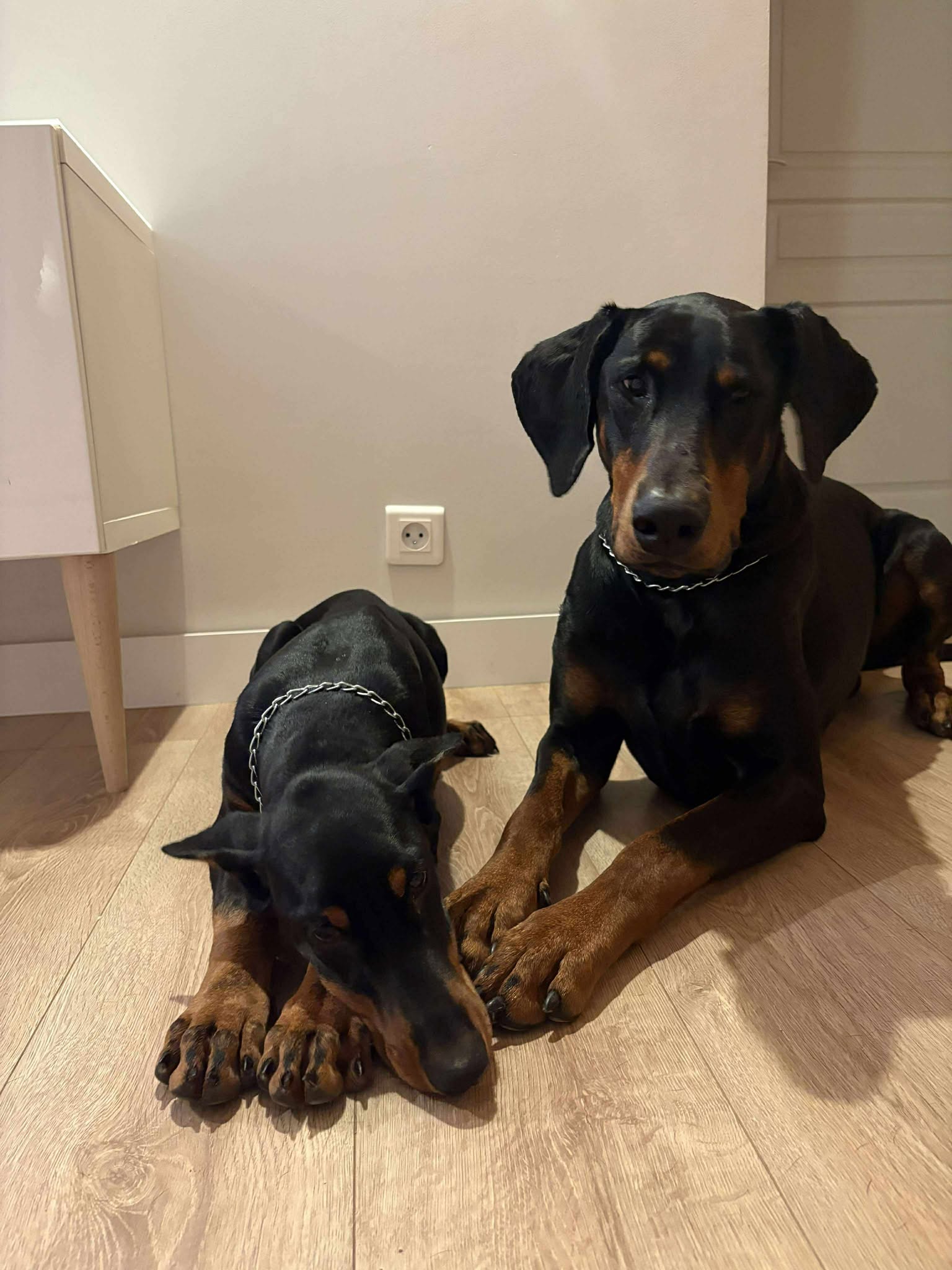 K’Santé & Yuna — photo 3