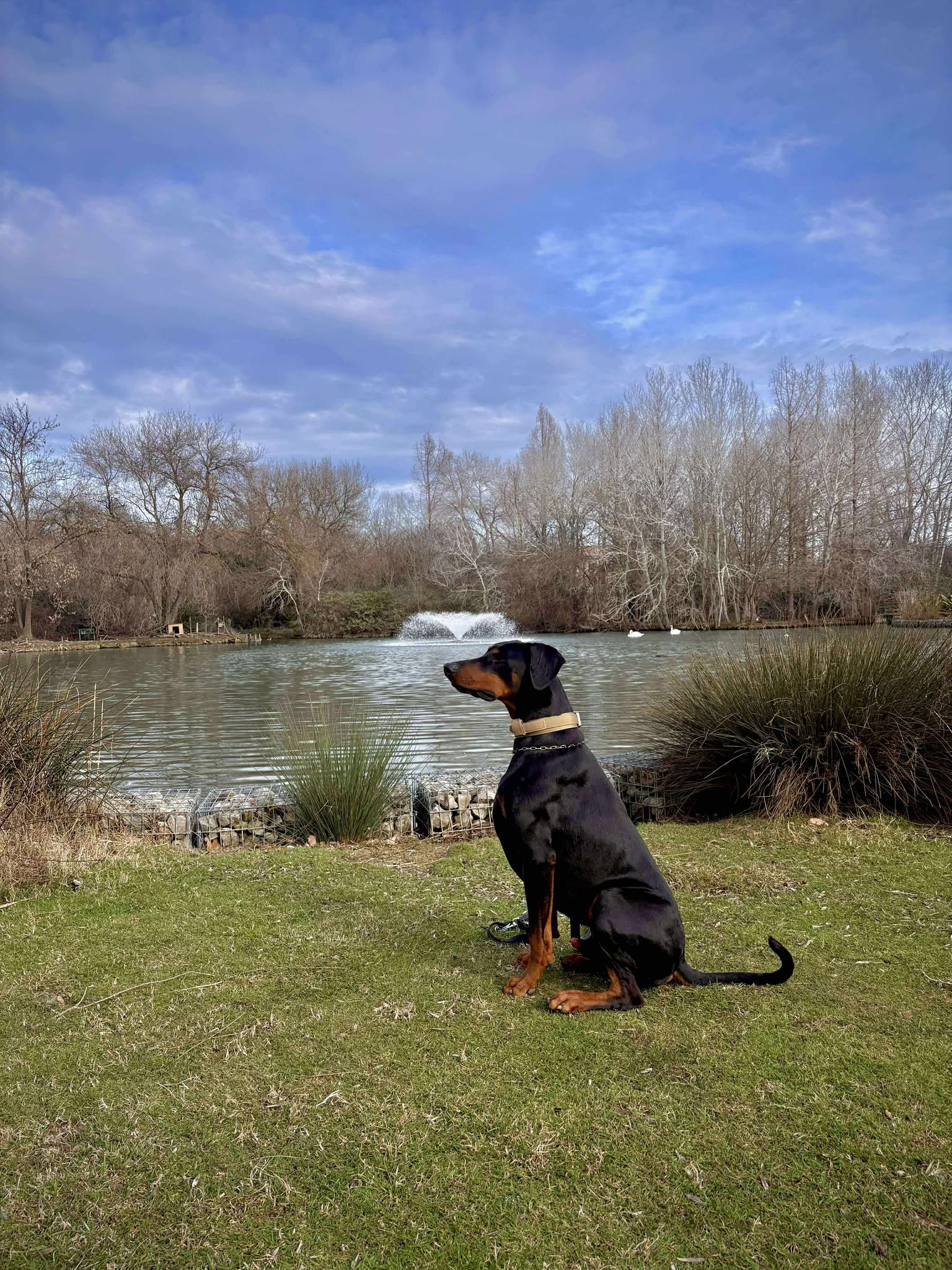 Baronera K’Santé — photo 2