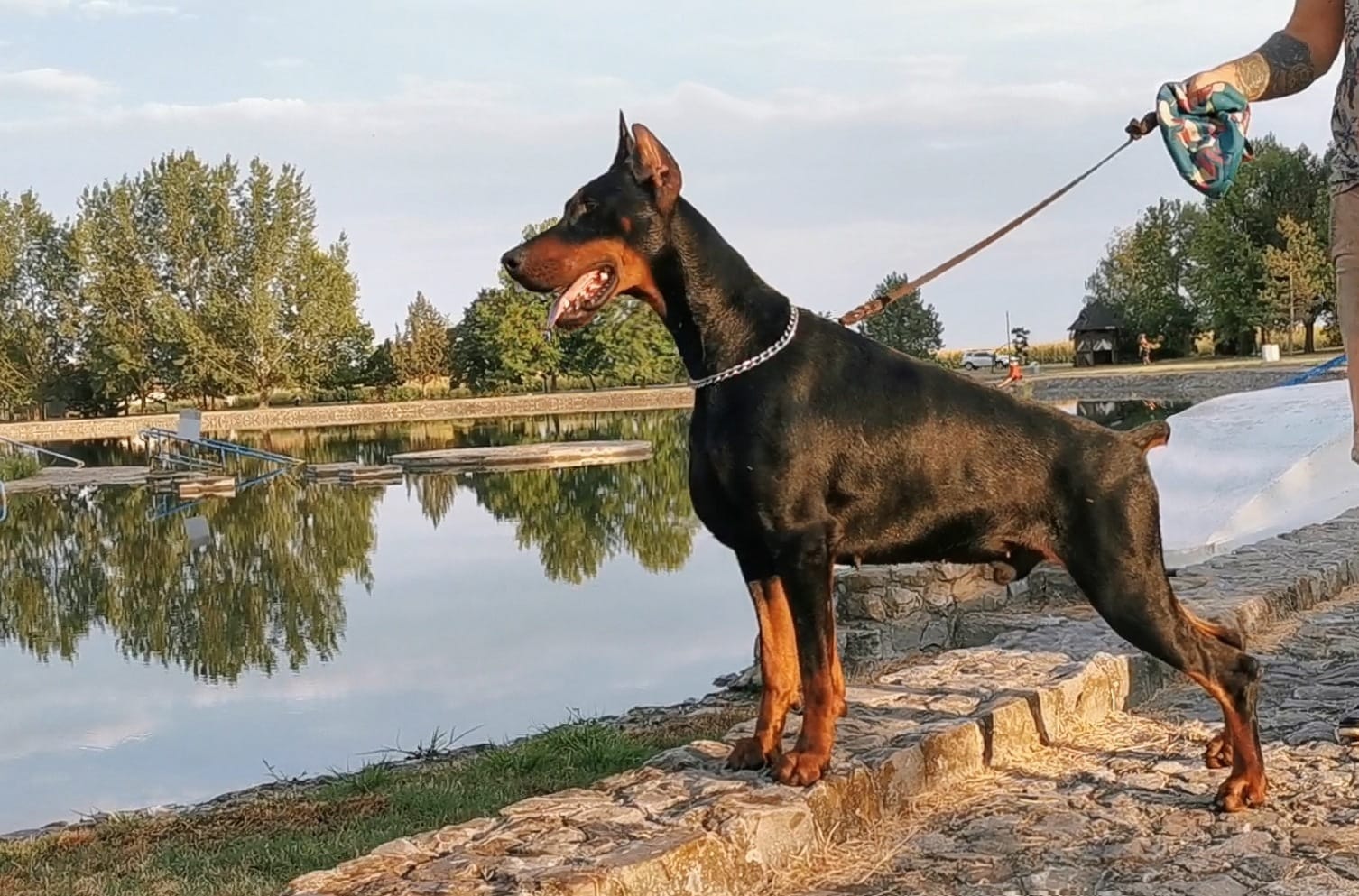 Rihan de Akido San - Sélection BARONERA