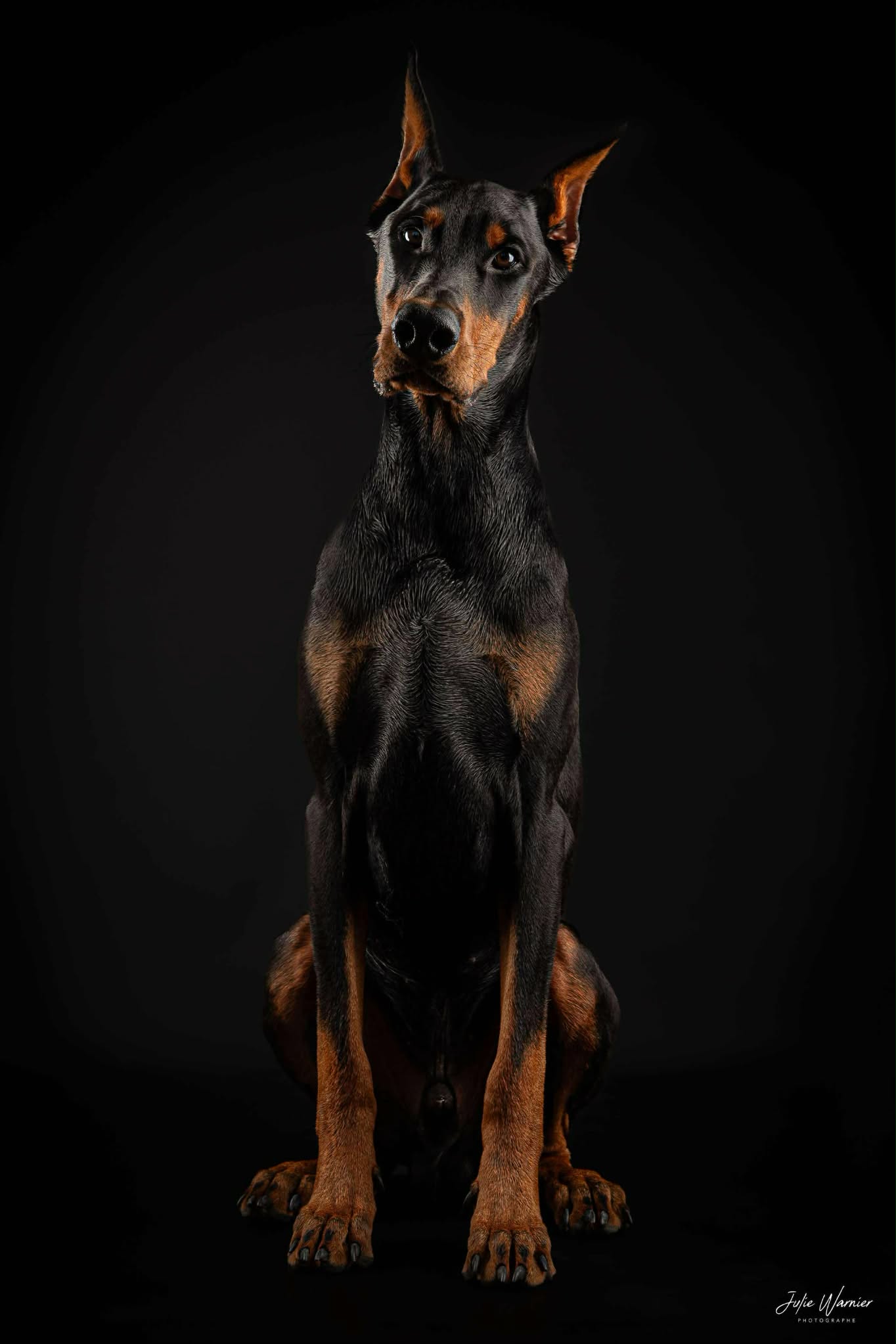 Baronera Varus Aka Vailhen — photo 1