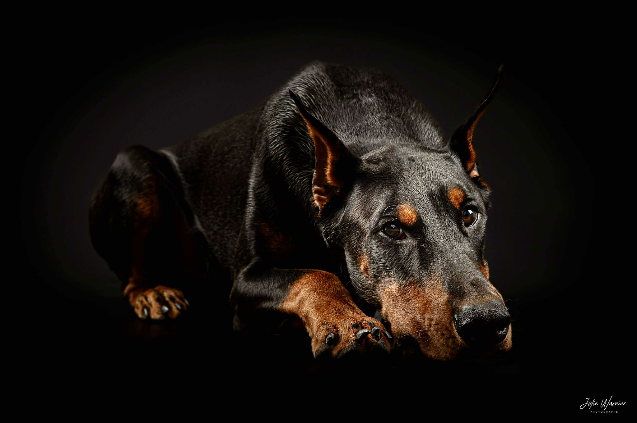 Baronera Varus Aka Vailhen — photo 2